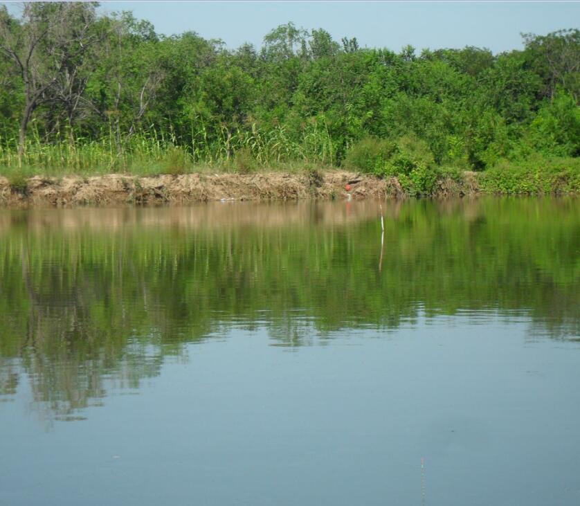 鱼塘承包经营合同纠纷